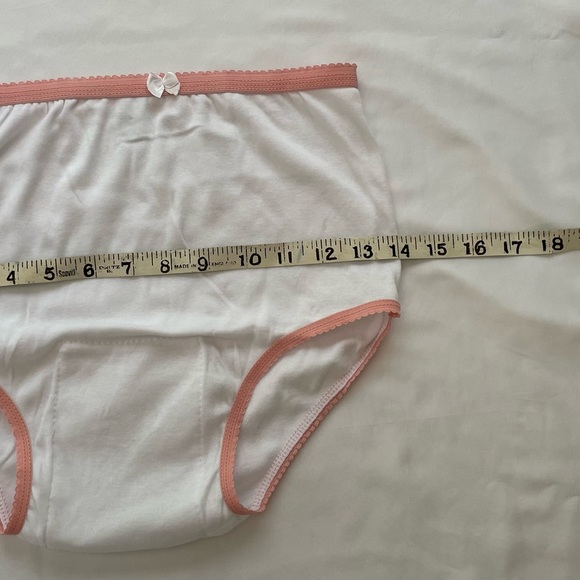 2/$10 Women’s Incontinence Protective Panty. Washable & Reusable Mesh Pocket. - Picture 5 of 14